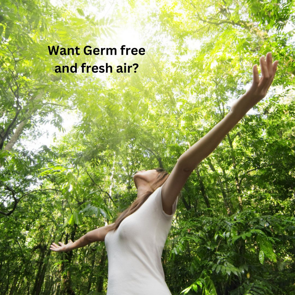 81838798