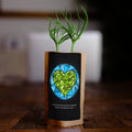 Earth with Heart Tree - Plants 10 Trees-0