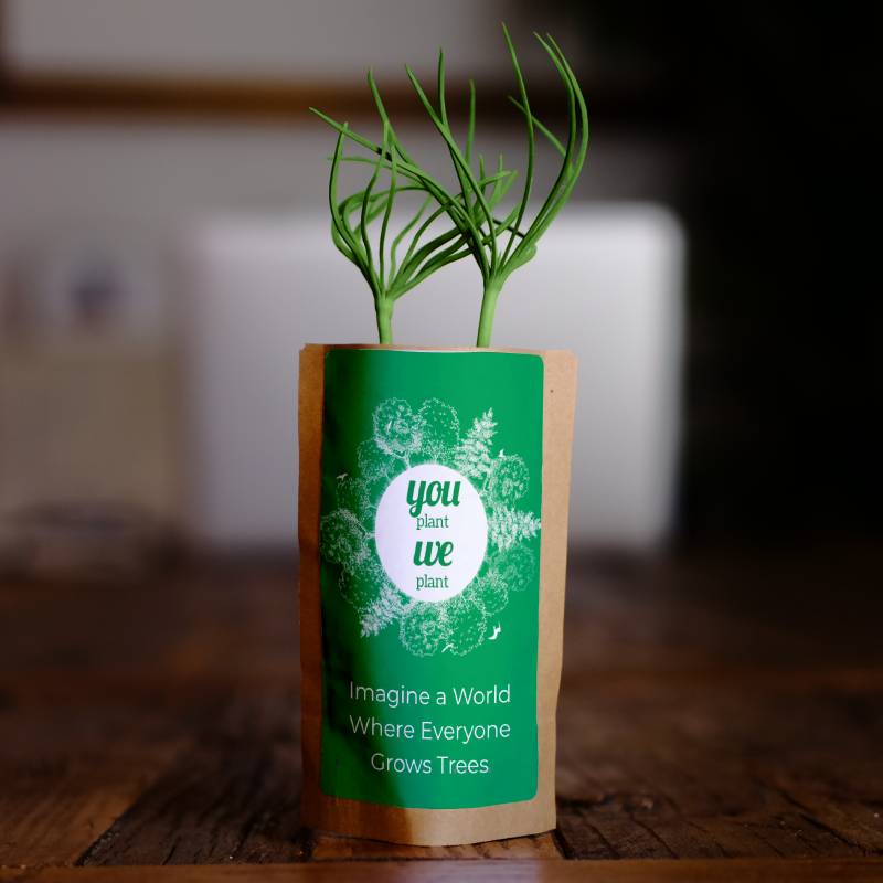 Tree Pouch - Plants 100 More Trees-0